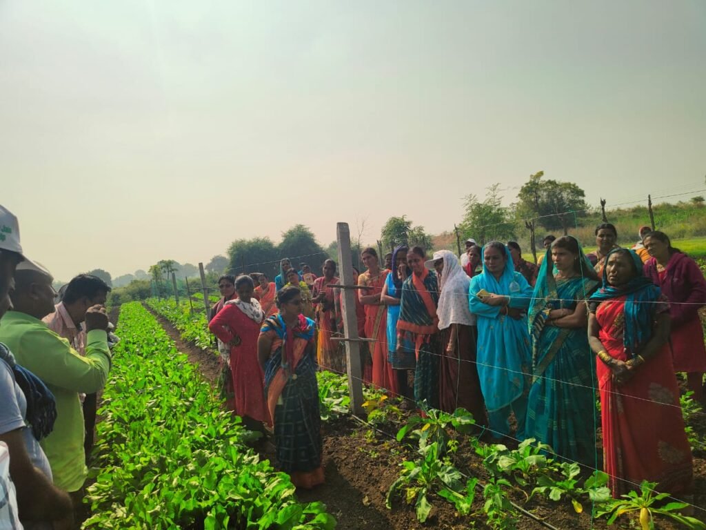 With a seed bank, demo plots, and value-added products empowered thousands toward self-reliance